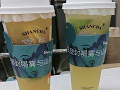-雾与山茶(大禹城店)