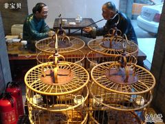 鸟笼-到家尝北京菜(西坝河店)