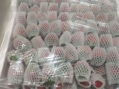 -双福水果批发市场