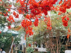 -豆舞咖啡(民乐路店)