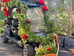 -中旅阿那亚九龙湖·公主酒店