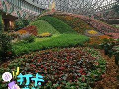 -花之城