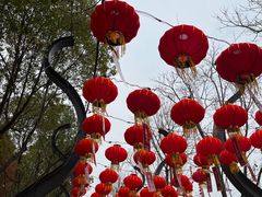 -武汉园博园(武汉自然博物馆)