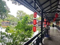 -侨美·唐荔园·40年地道粤菜