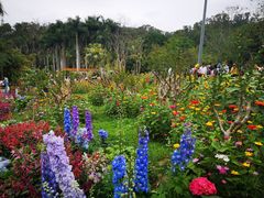 -深圳仙湖植物园