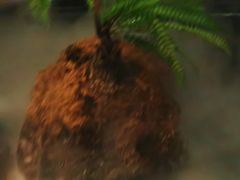 -泰之源足浴会所(玉环店)