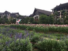 -清远熹乐谷温泉度假酒店