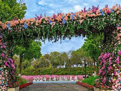 -春花秋色城市公园