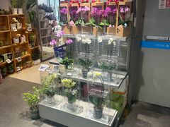 -盒马鲜生(双清路店)