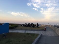 iphone_upload_pic-南汇嘴观海公园