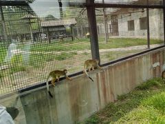 -石家庄市动物园