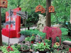 -东平国家森林公园