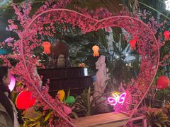 -龙脉温泉室内游泳馆