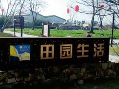 田园生活-田园东方蜜桃村的田野营地