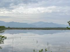 -野鸭湖国家湿地公园
