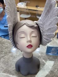 -智美品质医美