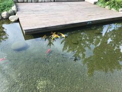 -成飞公园