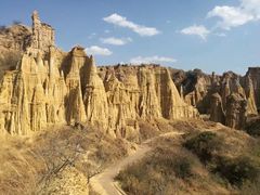 -元谋土林景区(物茂土林)