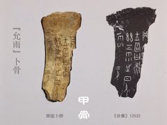 -山东博物馆