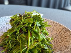 菌香赤苍藤-三利音·东方司宴(外滩店)