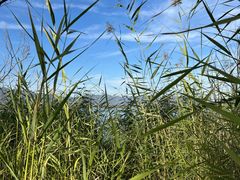 -野鸭湖国家湿地公园