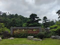 -深圳仙湖植物园
