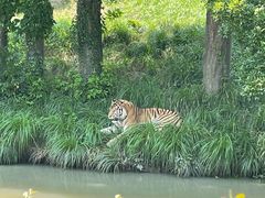 -宁波野生动物园