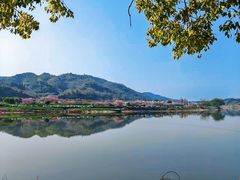 -新安江山水画廊风景区