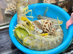 -吴记富苑(朝阳店)