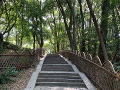 -灵岩山风景区