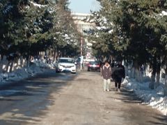 -东北农业大学饺子园