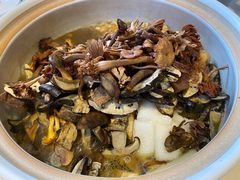 -爱膳菌锅锅(阳南店)