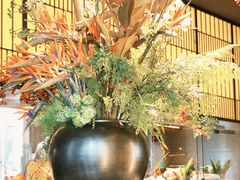 -雍容荟活波龙自助餐(IFS黑金店)