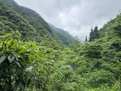 -娄山关景区