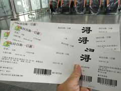 -上海旅游集散中心(万体站)