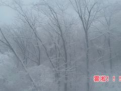 -中旅松花湖滑雪场