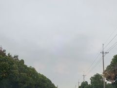 -棕榈滩海景高尔夫俱乐部