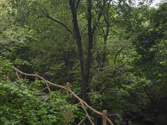 -青檀寺景区