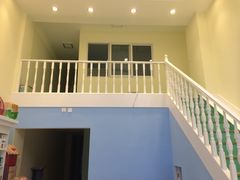 -爱贝特动物医院·猫口炎专科