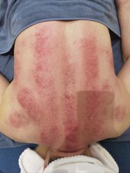 点击看大图 -王妃SPA·美容·科技抗衰