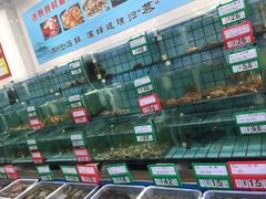 -海岛渔村大酒店(云霄路店)