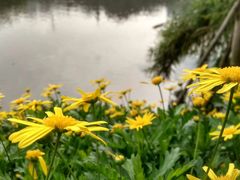-重庆彩云湖湿地公园