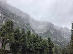 -重庆睡佛山森林公园