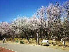 -贡宴盐帮菜自贡驻京联络处餐厅