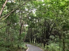 -同里国家湿地公园