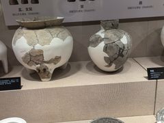 -岳阳市博物馆