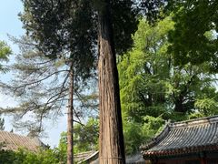 -潭柘寺景区