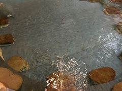 -御池园(顾村公园店)