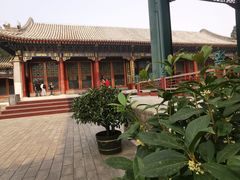 -吉野家(西客站南广场店)