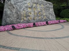 -北京国家会计学院